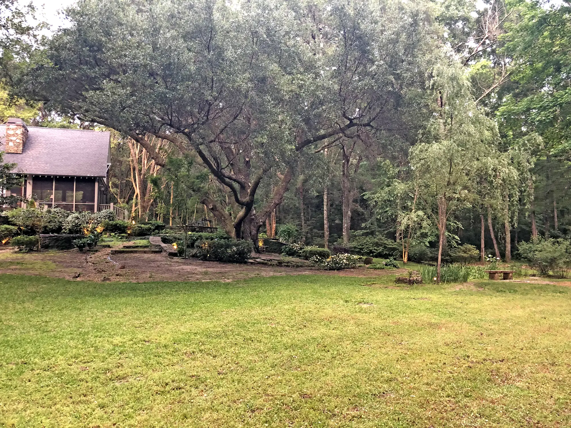 Middle Field